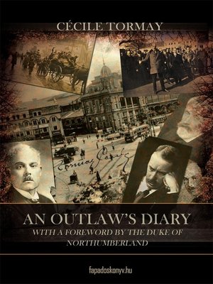 cover image of An outlaw's diary
